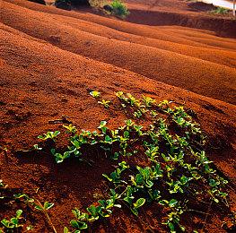 《METAL EDEN》Steam页面公布 5月7日发售